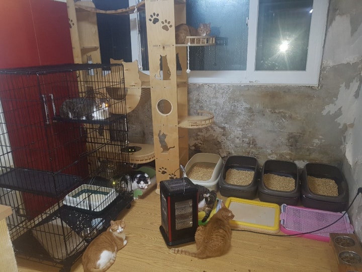 벽에서 물이 흘러내리고 곰팡이가 피고 있는 공간에서 아이들이 살고 있습니다 늘 기관지질환 및 호흡기질환으로 고통을 받고 있습니다