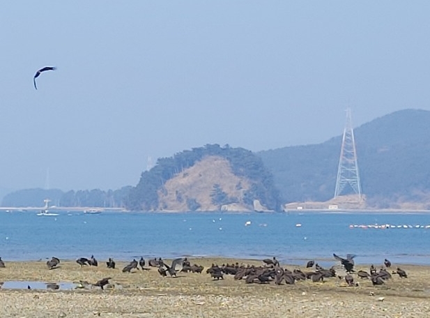 반가운