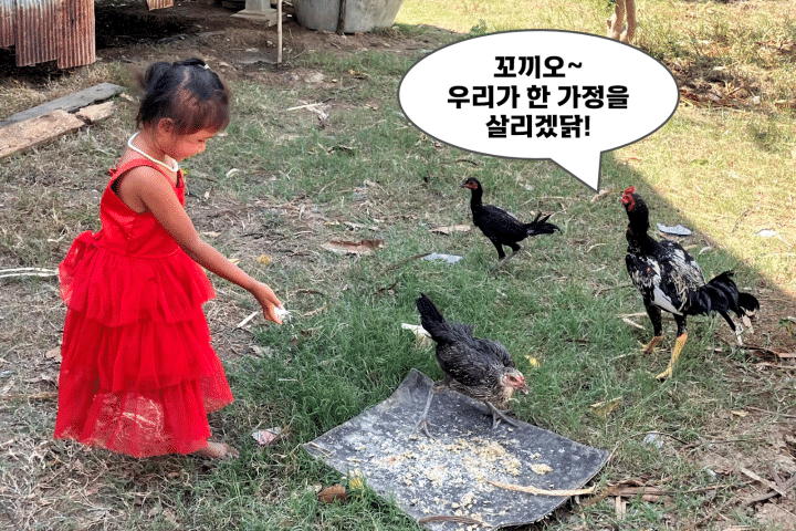 기부 : 해피빈 단돈 2천원,닭 한마리 선물로 한 가정을 일으켜보세요!